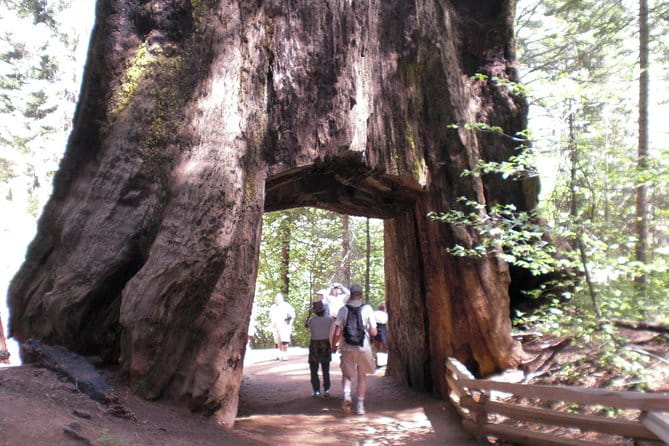Small-Group Day Trip to Yosemite from Lake Tahoe - Final Thoughts