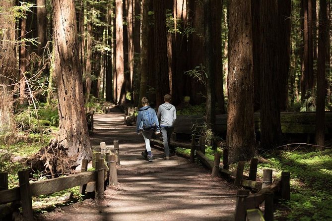 Small Group Redwoods, California Coast & Sausalito Day Trip from San Francisco - Sausalito: A Quirky Bay Town