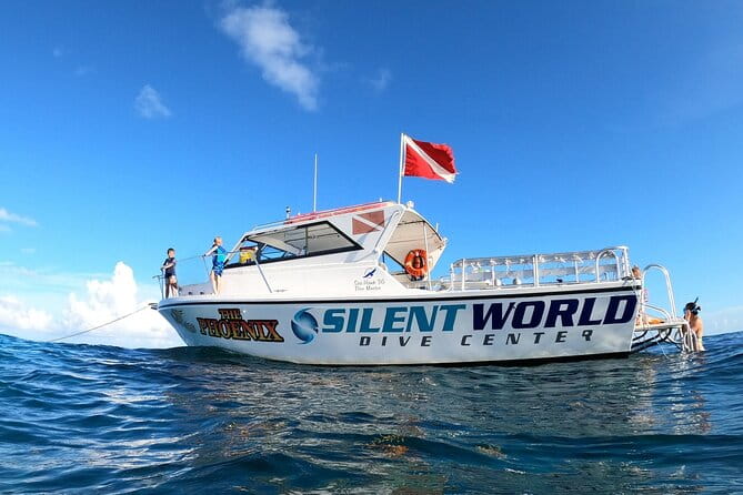 Small - Guided Shallow 2 Tank Dive Experience in Key Largo ALL GEAR INCLUDED - Equipment, Comfort, and Safety