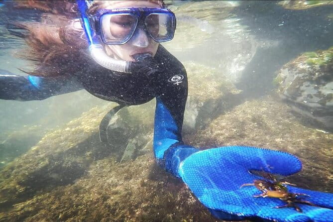Snorkel Tour at Magic Island - The Practicalities of the Tour