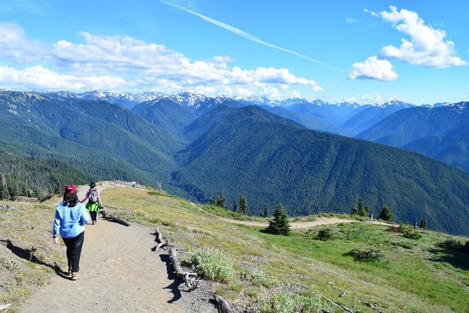 Sol Duc, Lake Crescent, and Hurricane Ridge Guided Tour in Olympic National Park - Practical Tips for Travelers