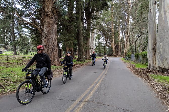 Sonoma Valley Pedal Assist Bike Tour with Lunch - Who Will Love This Tour?