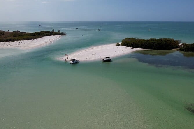 St. Pete Dolphin Watching and Shelling Adventure - Practical Details and What to Expect