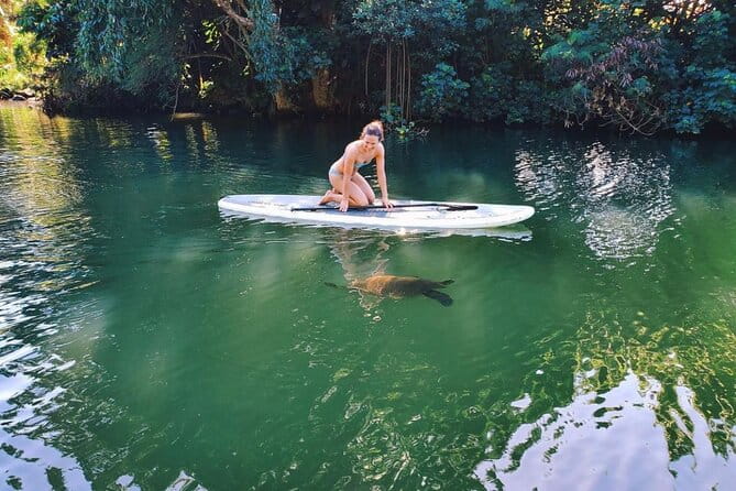 Stand Up Paddle Nature and Turtle tour-Guaranteed to see turtles - Additional Notes and Tips