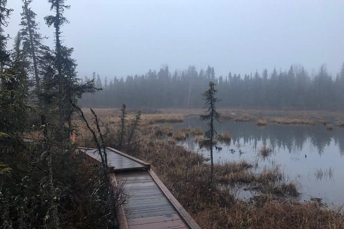 Summer Valley and Forest Hike - The Final Word