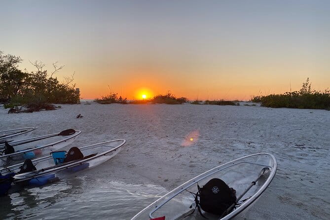 Sunset and Glow Clear Kayak Tour in North Naples - The Magic of the Glow-In-The-Dark Return