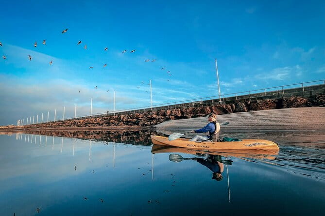 Sunset Kayak Tour in Santa Barbara Harbor (2 Hours) - FAQ