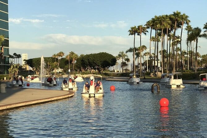 Swan Boat Rental at Rainbow Lagoon - What’s It Like on the Water?