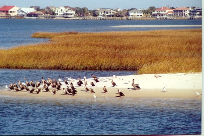 Take a Scenic Boat Ride in St. Augustine - The Itinerary: What You’ll See & Hear