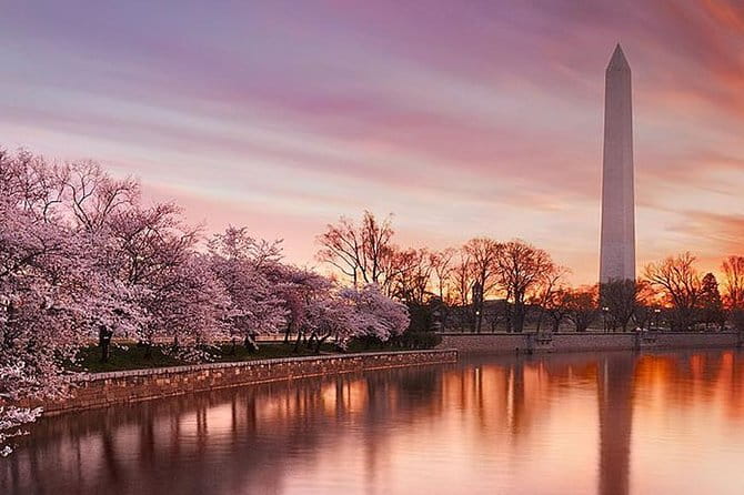 The DC Cherry Blossom Tour - The Value Proposition