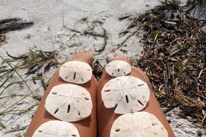 Three Hour Shelling Cruise to Shell Key Preserve from John's Pass - Final Thoughts