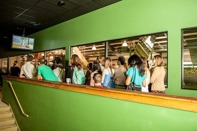 Trolley Tour in Wadmalaw Island of South Carolina - The Sum Up: Who Should Consider This Tour?