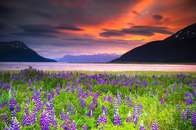Turnagain Arm Tour - Who Should Consider This Tour?