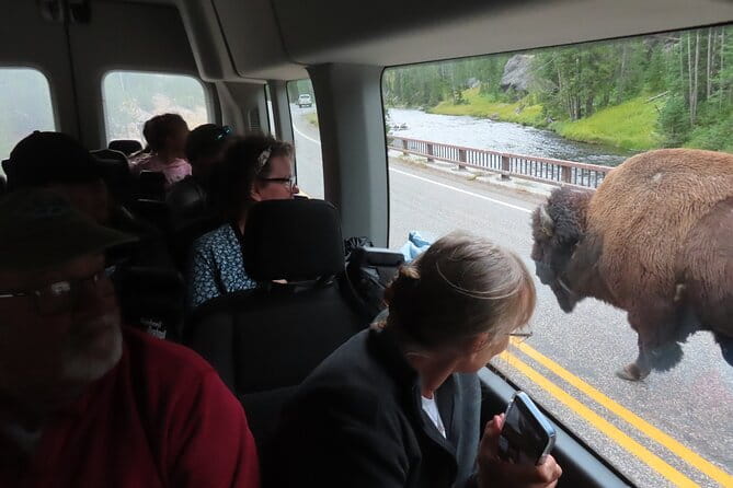 Upper Loop Tour and Lamar Valley from West Yellowstone with Lunch - The Experience of Group Size and Tour Dynamics