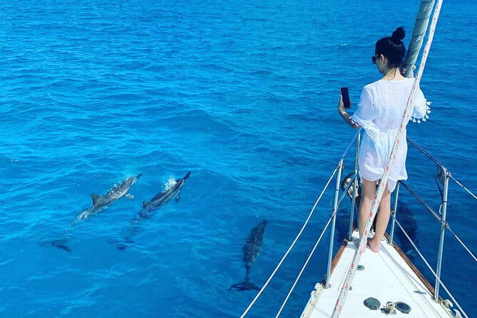 Waikiki small group turtle snorkeling & sailing - Frequently Asked Questions