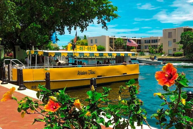 Water Taxi All Day hop-on hop-off Venice of America Boat Tour - What the Experience Means for You