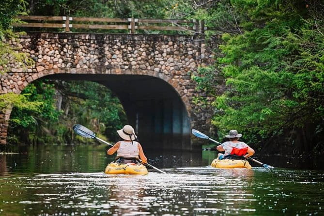 Wild & Scenic Loxahatchee River Guided Tour - Dive Into the Itinerary
