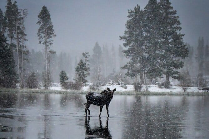 Wildside 4X4's Winter Wonderland Photo Tour - Why This Tour May Be Just Right for You