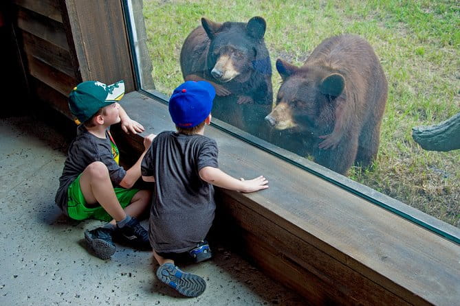 Zoo Miami Ticket with Optional Upgrade - Practical Tips for Visiting Zoo Miami