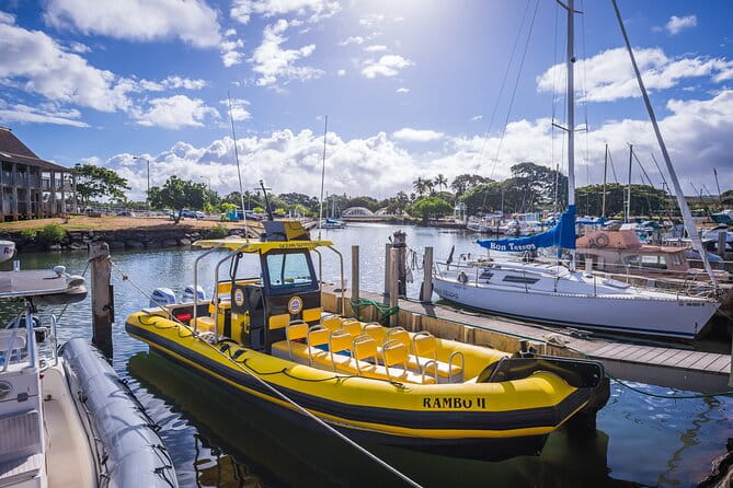 1.5 -Hour Guided Whale and Marine Life Tour - Who Will Love This Tour?