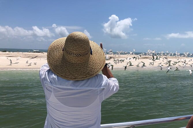 10,000 Islands Excursion Small-Group 3.5 hour Dolphin & Shelling Boat Tour - Authentic Moments from Past Travelers