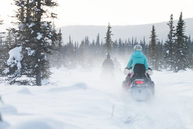 2-Hour Guided Snowmobile Tour in Fairbanks - Pricing and Value