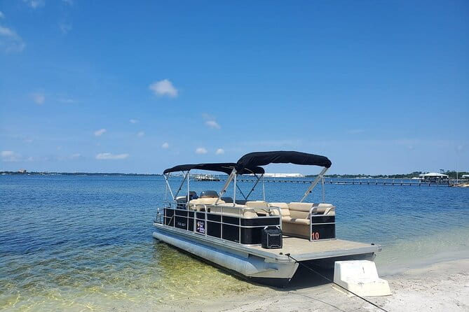 2 Hour Private Dolphin and Sightseeing Tour in Shell Island - Pricing and Value Analysis