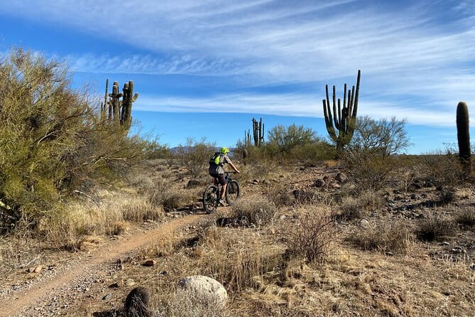 3 Hour Sonoran Desert Private Guided Mountain Bike Tour - The Experience for Different Riders