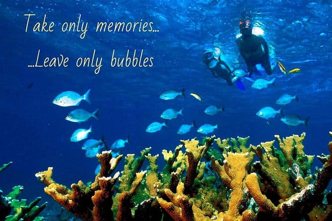 4 .5 Hour Molokini Snorkel Tour Adventure in Maui - Price and Value: Is It Worth It?