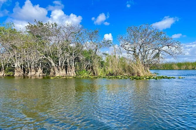 60 min. Everglades Airboat ride & pick-up ,small group +pro guide - FAQ: Your Practical Questions Answered