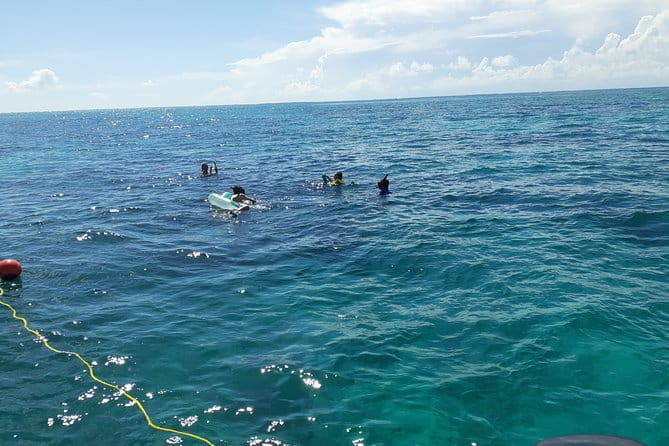 A Unique Private Snorkel Tour of Key Largo - Booking and Practical Details