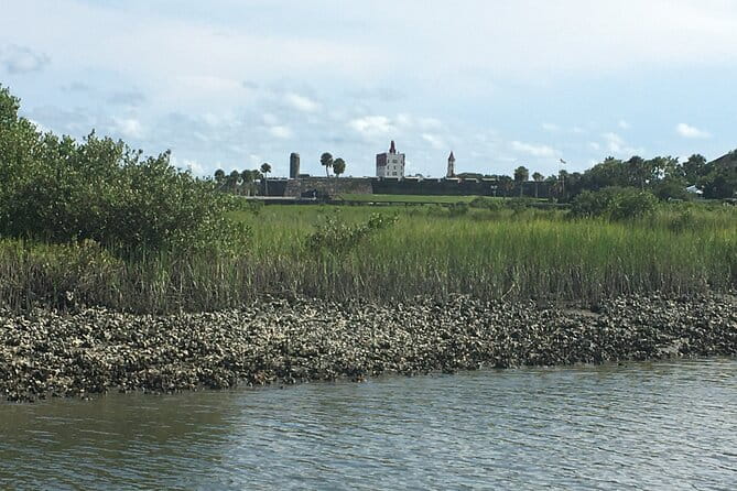 Adventure Boat Tours - One Hour Dolphin/Eco/History/Sightseeing Boat Tour - Authentic Experiences from Past Travelers
