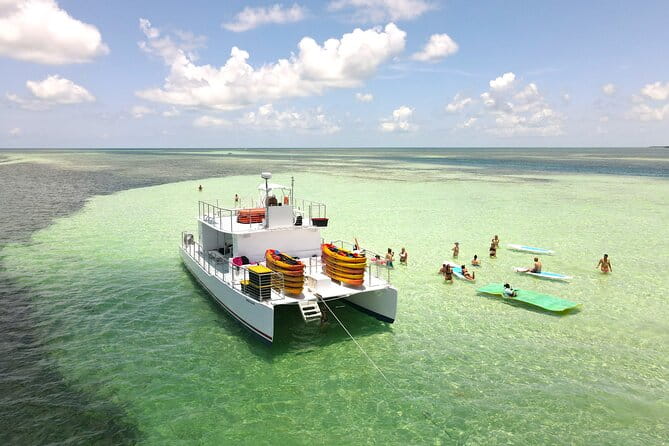 All-Inclusive Sandbar Safari with Dolphin Playground Encounter - Who Should Book This Tour?