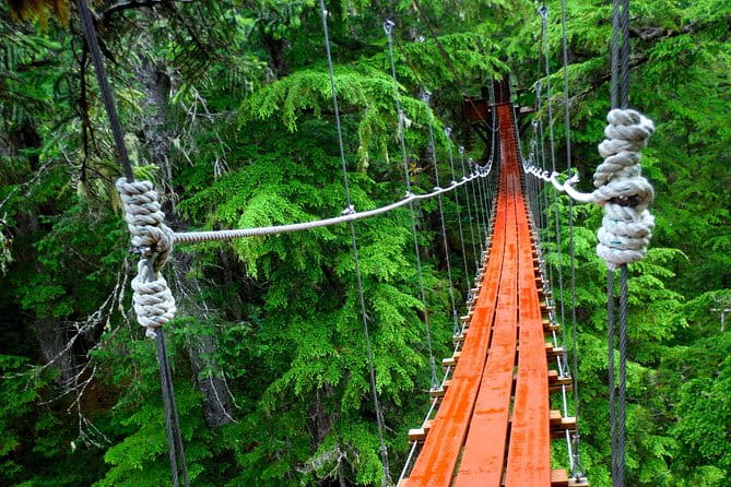 Alpine Zipline Adventure in Juneau, AK - Value for Money