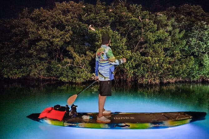 Anna Maria Island - Clear Kayak LED Night Glass Bottom Tour - Who Will Love This Tour?