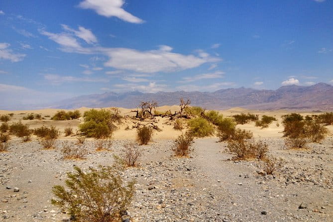 Arizona Ghost Towns and Wild-West Day Trip from Las Vegas - The Sum Up