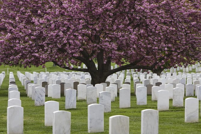 Arlington National Cemetery Hop-On Hop-Off Tour - Who Should Consider This Tour?