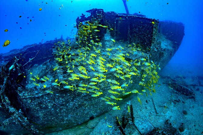Atlantis Submarine Adventure in Waikiki - Practical Tips for Your Trip