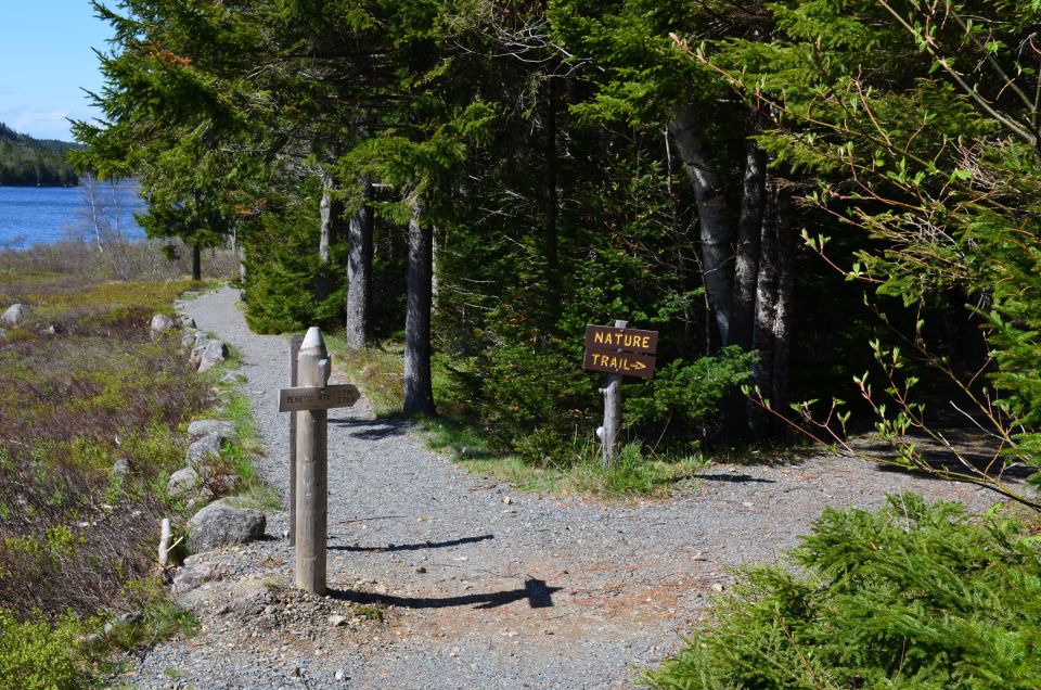 Bar Harbor: Acadia National Park Private Tour with Lunch - Value for Money