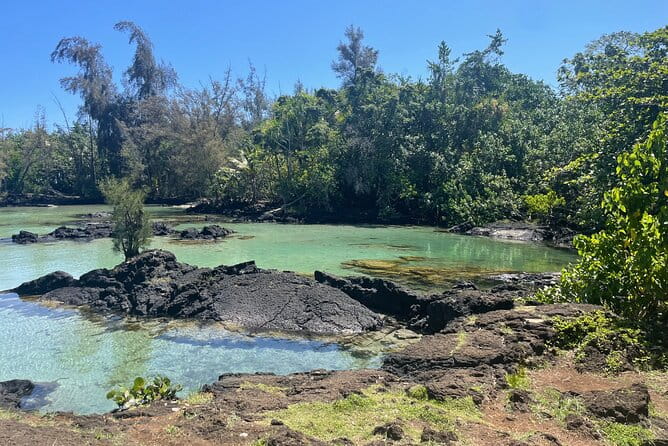 Beach Snorkel - Sea Turtle and Black Sand Lagoon - Final Thoughts: Who Will Love This Tour?