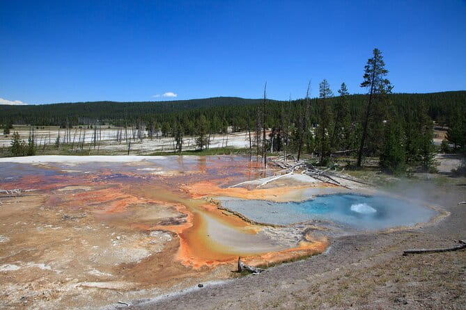Best of Yellowstone Guided Tour from Bozeman - Private Tour - Price and How It Compares to Other Options