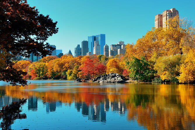 Bike Rental in NYC Central Park - The Experience: What to Expect