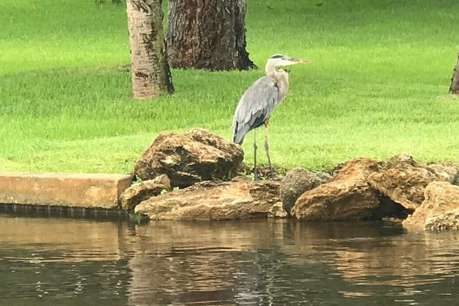 Brevard County Tours, dolphin and manatee tours in Palm Bay, FL - The Sum Up