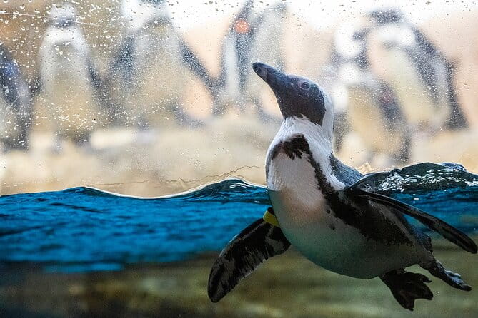California Academy of Sciences General Admission Ticket - Frequently Asked Questions