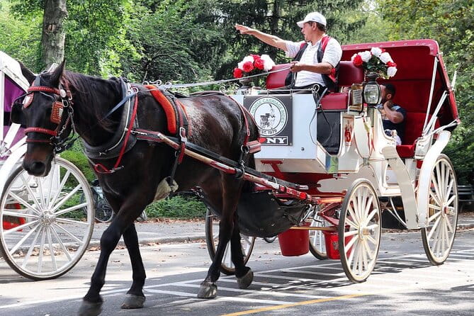 Central Park Carriage Ride w/ Drop Off @ Tavern On Green (45 min) - Authenticity and Special Touches