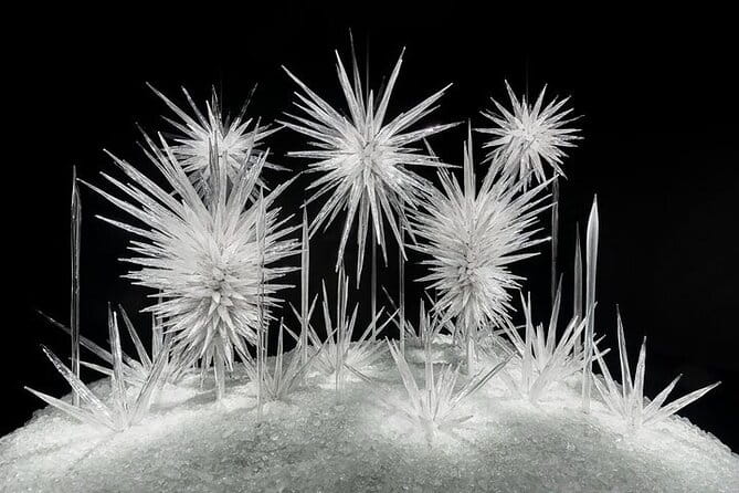 Chihuly Garden and Glass in Seattle Ticket - Frequently Asked Questions