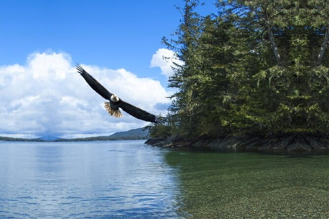 Customizable Private Tour in Ketchikan with Pick Up - Who Will Love This Tour?