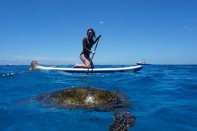 Deluxe Catamaran Swim with Dolphins in Oahu with Waterslide - Practical Tips for Guests