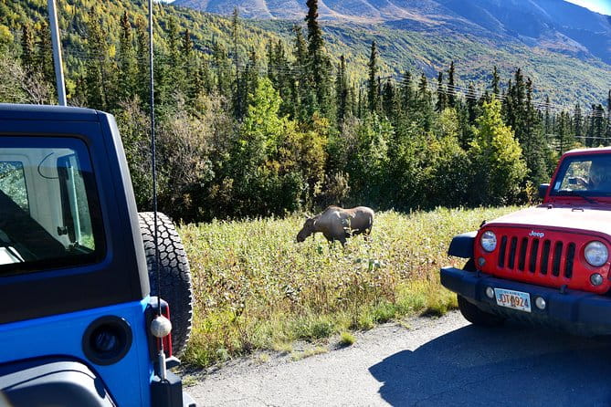 Denali Highway Jeep Excursion - Final Thoughts: Is It Worth It?