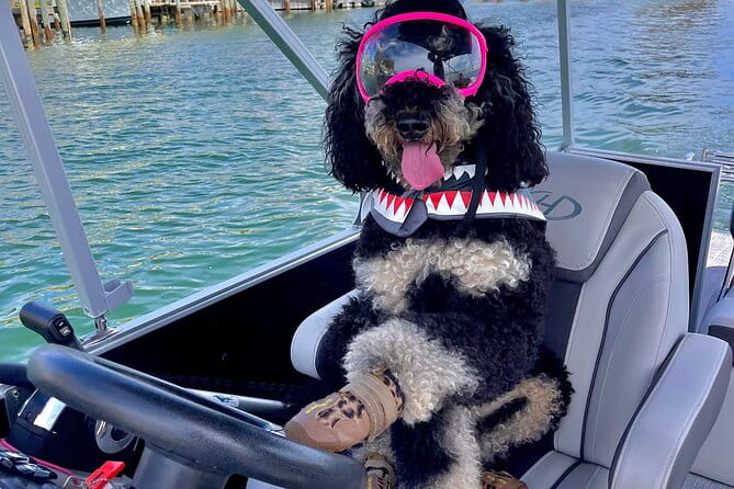 Destin- Private Chartered Slide Pontoon Boat-Up to 6 Guests - What Travelers Are Saying